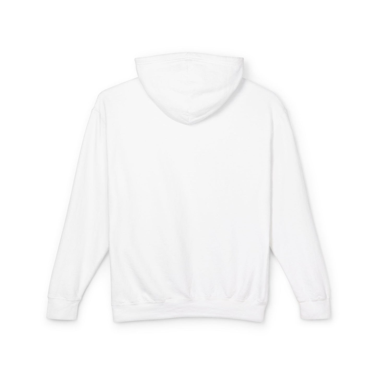 Asteroid  Hoodie/Sweatshirt